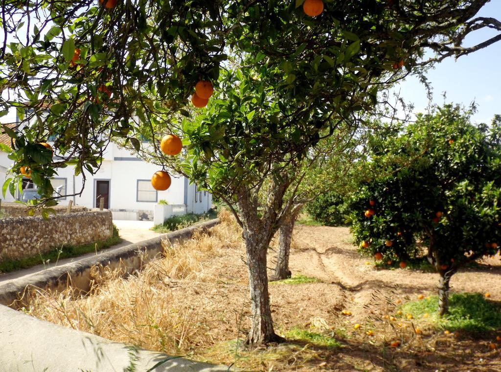 Casas Do Pomar Villa Лагос Стая снимка