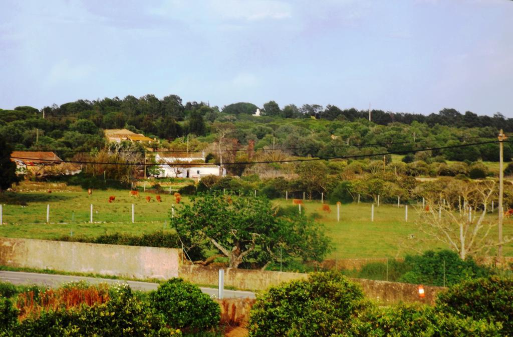 Casas Do Pomar Villa Лагос Стая снимка